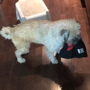 Meet your Posher, Makoto